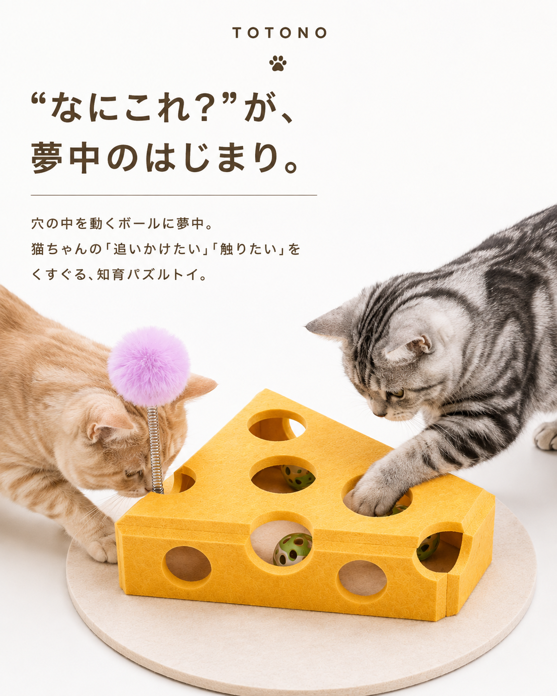 Play Maze｜猫の知育パズル